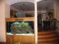 300 Gallon Reef Aquarium