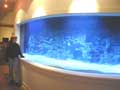 5000 Gallon Reef Aquarium