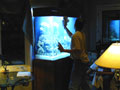 Finishing Touches on New Aquarium